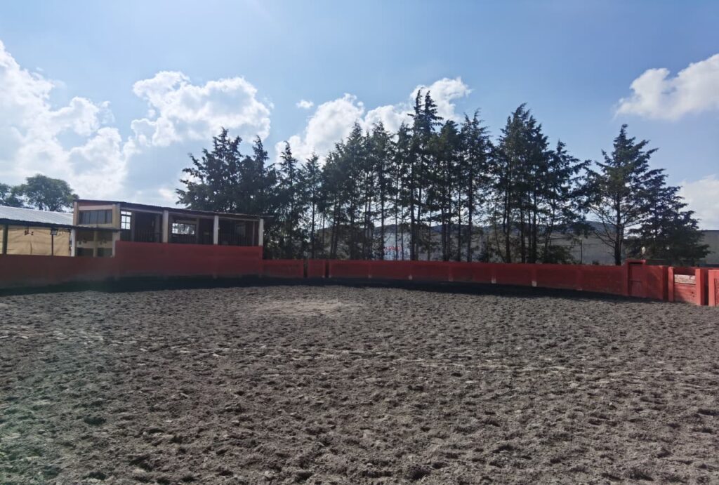 whatsapp image 2025 11 30 at 10.53.49 am