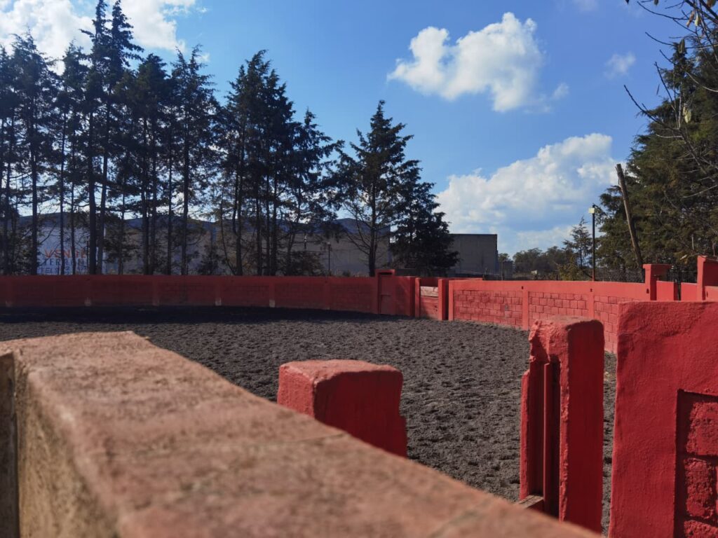 WhatsApp Image 2025 11 30 At 10.54.04 AM 1024x768