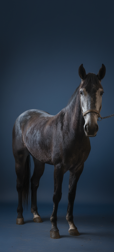 Inicio 0b621527 7f68 4035 A959 B5e5a2decbdd1 463x1024