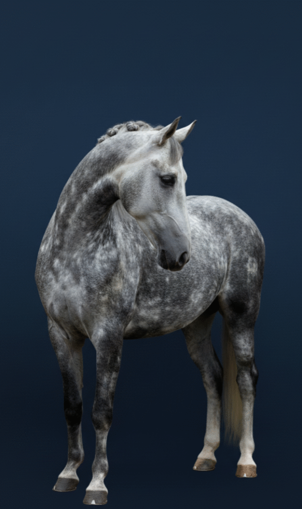 Inicio Generated Image December 10 2025 1 27PM 609x1024