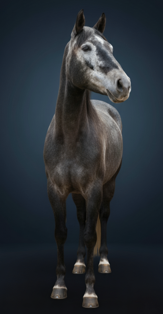 Inicio A88240e8 6ec5 4e33 919a 2a319dbcaa751 533x1024