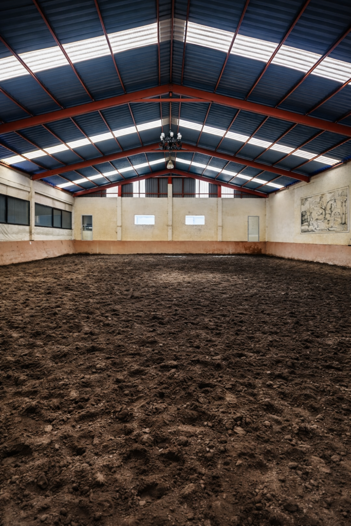 chatgpt image feb 27, 2026, 02 55 30 pm