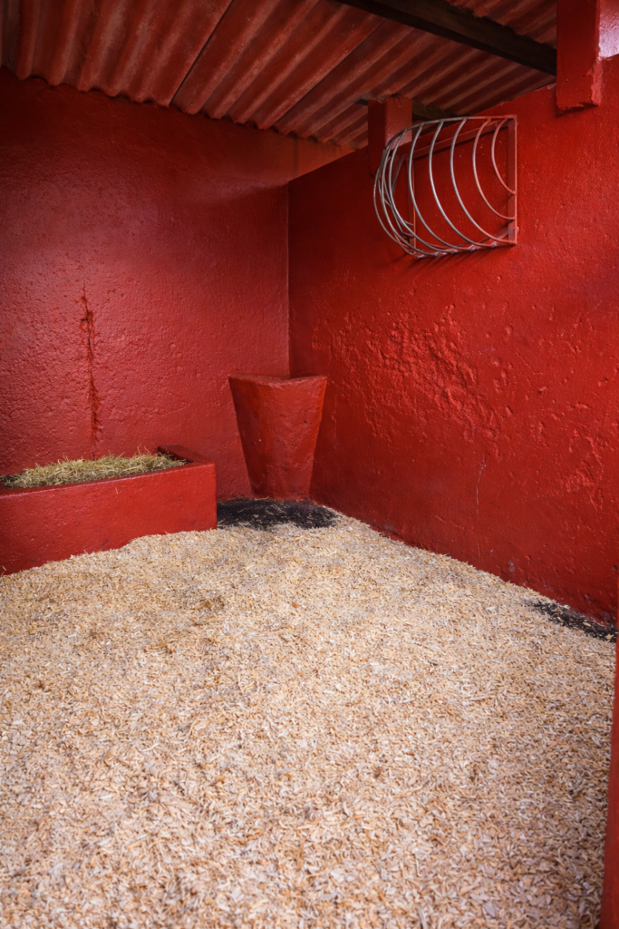 chatgpt image feb 27, 2026, 03 23 36 pm