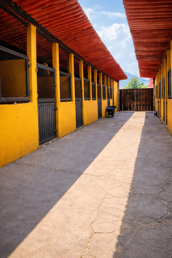 chatgpt image feb 27, 2026, 03 26 06 pm