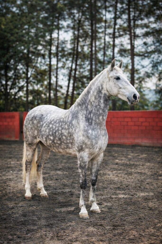 whatsapp image 2026 02 28 at 6.23.54 pm4